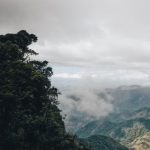 Vistas en plena montaña a la naturaleza en estado puro